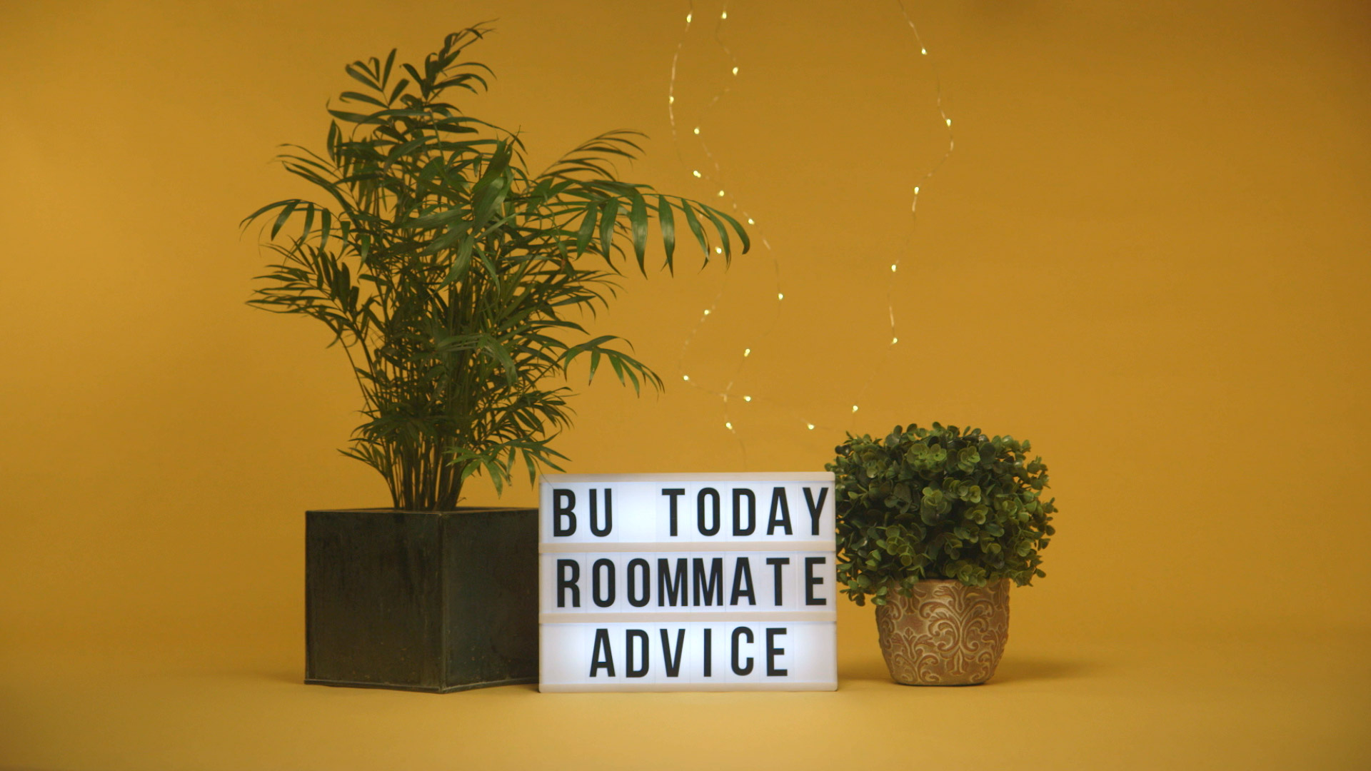 Two house plants on either side of a lightbox sign that says 'BU Today Roommate Advice'