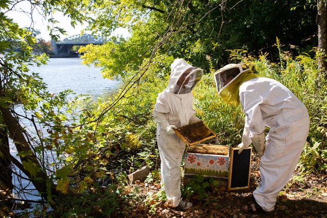 Hive Master Allie Cole (CAS'21) (left) and Danielle Dietrich (CAS'21), treasurer of for the BU Beekeepers check on one of their hives