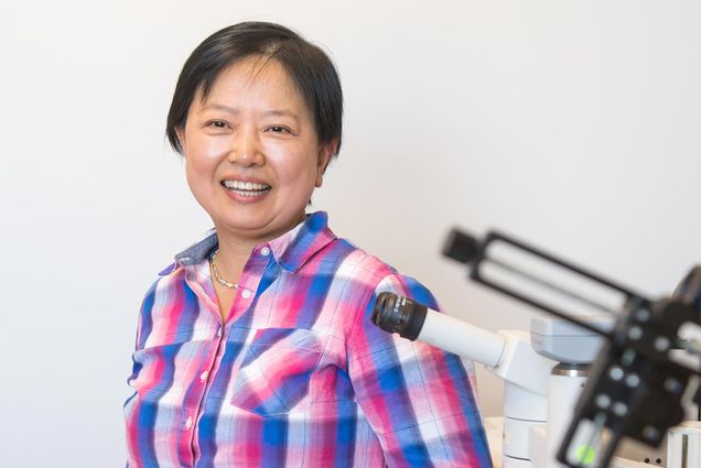 Boston University Professor of Engineering, Xin Zhang, poses for a portrait in her lab.