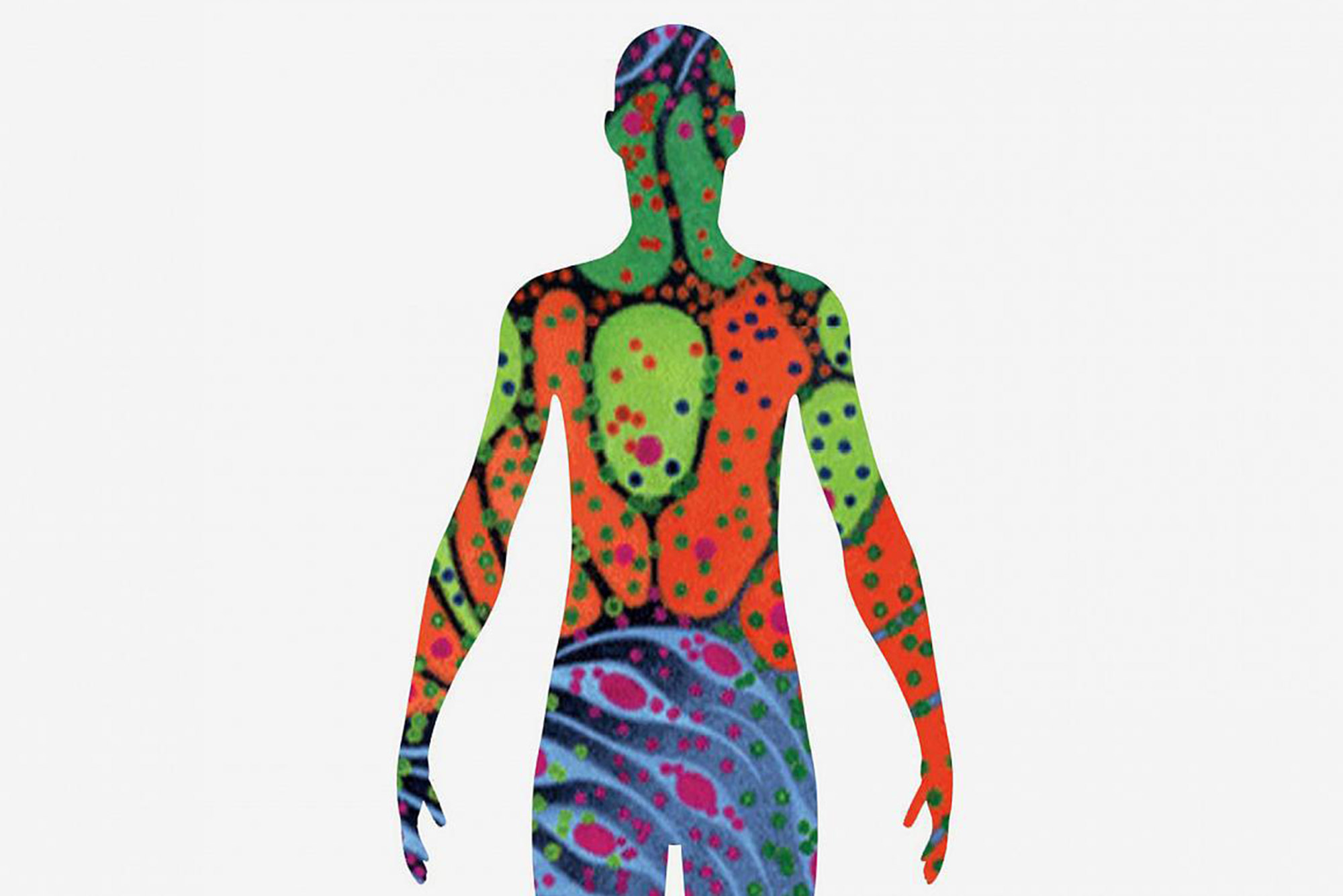 illustration of human body with various different types and colors of cells