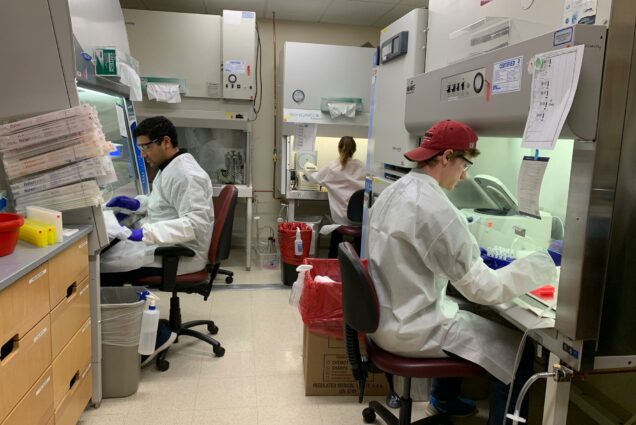 Center for Regenerative Medicine researchers Aditya Mithal, Claire Burgess, and Andrew McCracken prepare samples collected from Boston Medical Center patients suspected to be infected with the novel coronavirus.