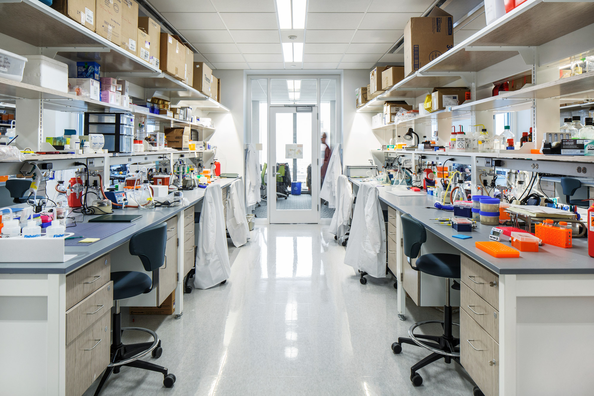 BU Unveils First Phase of Campuswide Research Recovery Plan The Brink