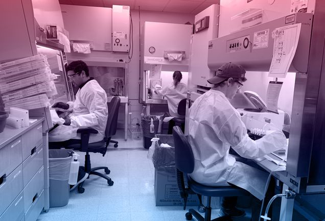 Center for Regenerative Medicine researchers Aditya Mithal, Claire Burgess, and Andrew McCracken prepare samples collected from Boston Medical Center patients suspected to be infected with the novel coronavirus.