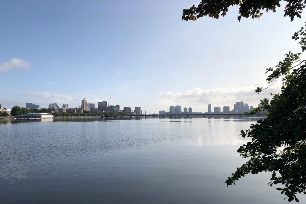 A photo taken from the Esplanade offers a scenic views of the Charles River. The sky is blue with only a few clouds and the Boston Skyline is seen in the distance.