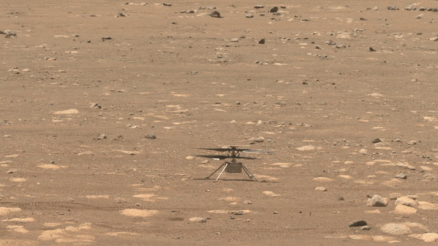 Gif of the helicopter recently flown on Mars by NASA. The small, drone-like option is surrounded by red dirt and rocks as its propellors spin.