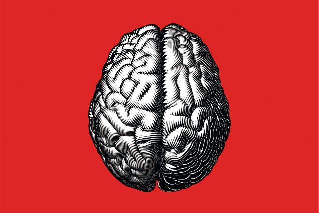 An illustration of a brain on a red background