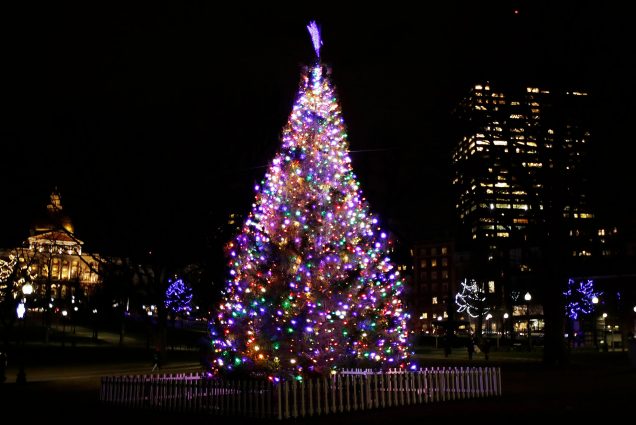 photo of a large, lit, multicolored Christmas tree during a dark night in the Boston Commons.