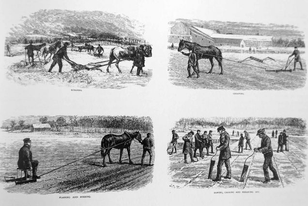 Image of 4 black and white pencil-style illustrations showcasing the various steps needed for ice-cutting: scraping, grooving, planing and ribbing, and sawing, calking and breaking off.