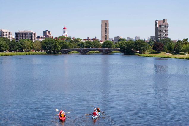 Wide photo of the Charles River looking towards the footbridge at Harvard. In the foreground, two kayaks are seen. At left, there's a single orange kayak, at right a double, blue kayak. The trees along the Charles are in full bloom and light blue sky is cloudless.