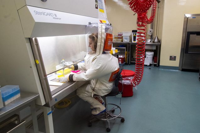 Photo of Pulmonary fellow Ellen Suder working in the high containment lab. She wears a large, blown up white suit with a clear head piece, and wears gloves as she performs experiments underneath a clear hood. A red curled tube hangs from the ceiling and goes into her suit.