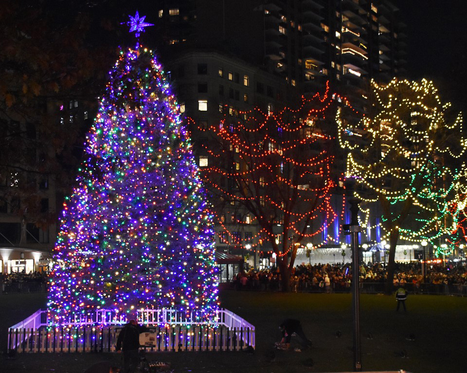 Photo: Nighttime scene of the Boston tree lighting in Boston Common. Various large trees are shown with multicolored lights strewn around them and lit in the night. A few people can be seen looking on.