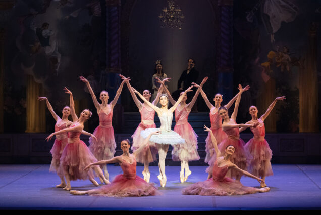 Photo: A group of ballerinas wearing tuts pose and dance in the center of a stage. The spotlight is on the center ballerina, who wears a white tutu. Other ballerinas all wearing matching pink tutus dance around her.