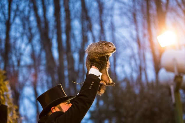 Punxsutawney Phil being held up by a man in a top hat on Groundhogs Day. Photo by Chris Flook via Wikimedia Commons
