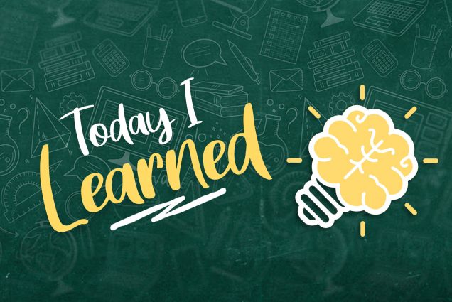 An image with a green background and a lightbulb shaped like a brain flickering yellow. The text reads "Today I Learned"