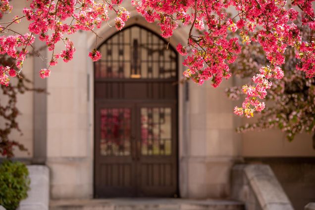 Photo: a view of the west-facing entrance to BU's CAS. A large, ornate wooden metal door is shown in the background. In the foreground pink spring blossoms on a tree highlight the entrance.