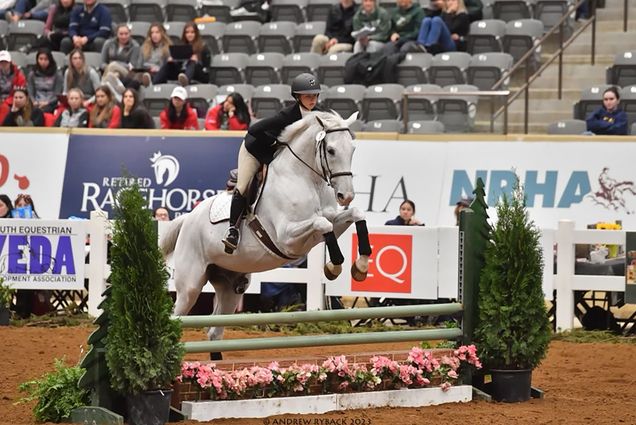 Photo: Elizabeth Nevins, a white young woman wearing black riding gear and helmet, rides a white horse as it jumps over a barrier in a competition ring. A few people can be seen in the stands of the blurry background.