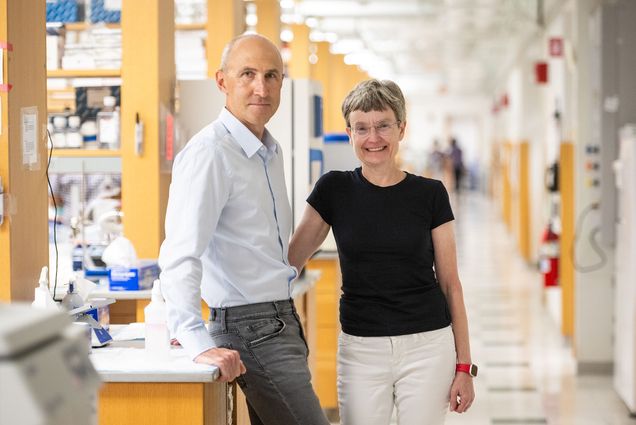 Photo: Ruslan Afasizhev (left), a tall whie man with a balding, shaved grey hair and wearing a light blue collared shirt and dark grey jeans, and Inna Afasizheva, a white woman with short grey-brown hair and wearing a black short-sleeved shirt and white jeans, pose in a brightly lit lab. Ruslan leans slightly back against a lab worktop while Inna poses with one hand one the same worktop behind Ruslan.