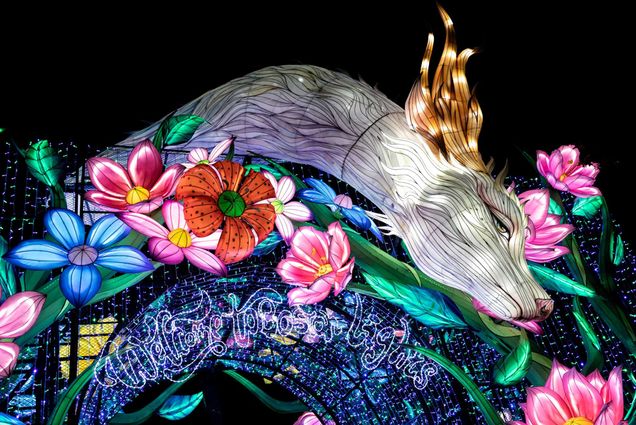 Photo: Bright, intricate lights make up the majority of the photo with wire flowers and a long, necked dragon. The lights are lanterned made to look like the images, colorful and artistic. The background is pitch black.