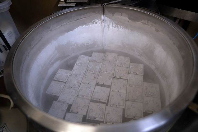 Photo: Containers holding frozen embryos and sperm are stored in liquid nitrogen at a fertility clinic in Fort Myers, Fla.