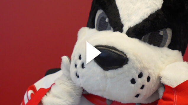 Photo: A screenshot of Rhett, the black and white Terrier of BU, sitting at a laptop about to introduce the newest admissions to BU.
