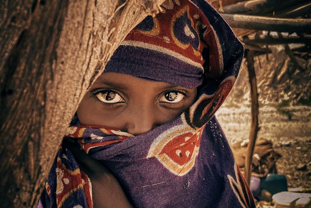 Photo: A portrait of a young individual with a scarf around their head, obstructing their view. They look through their lashes at the camera, shy and hidden around the wooden branch the lean on.