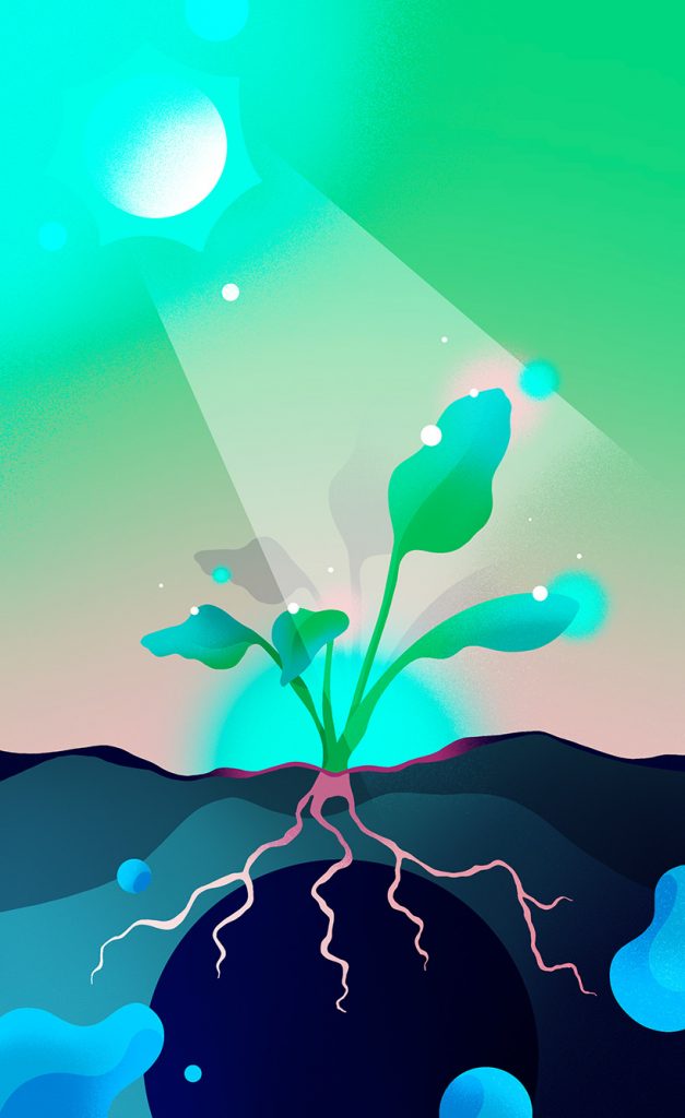 Abstract-like illustration in various shades of blue, green, pink of the sun shining down on a plant. The new, green plant is shown budding from the dark blue ground as the sun's pinkish rays shine down on it.