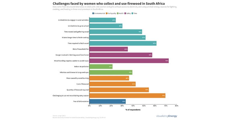 Challenges faced by women who collect and use firewood in South Africa.