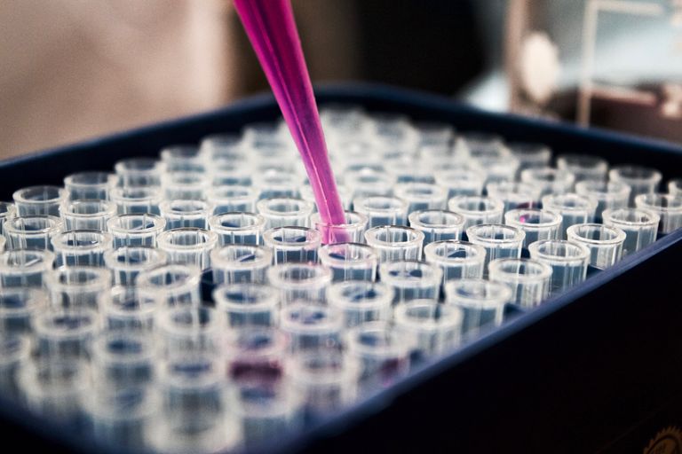 a box of vials being filled by a hot pink pipette