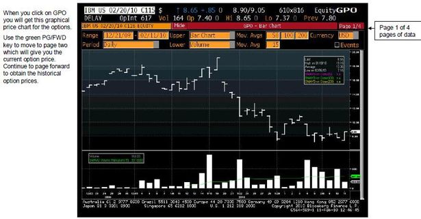 Equity Option Graphical Price