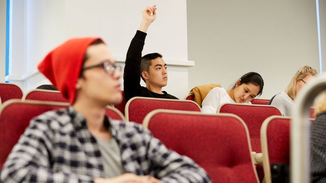 Student raising hand in class