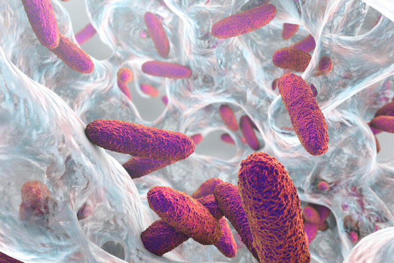 Klebsiella pneumoniae bacteria in biofilm
