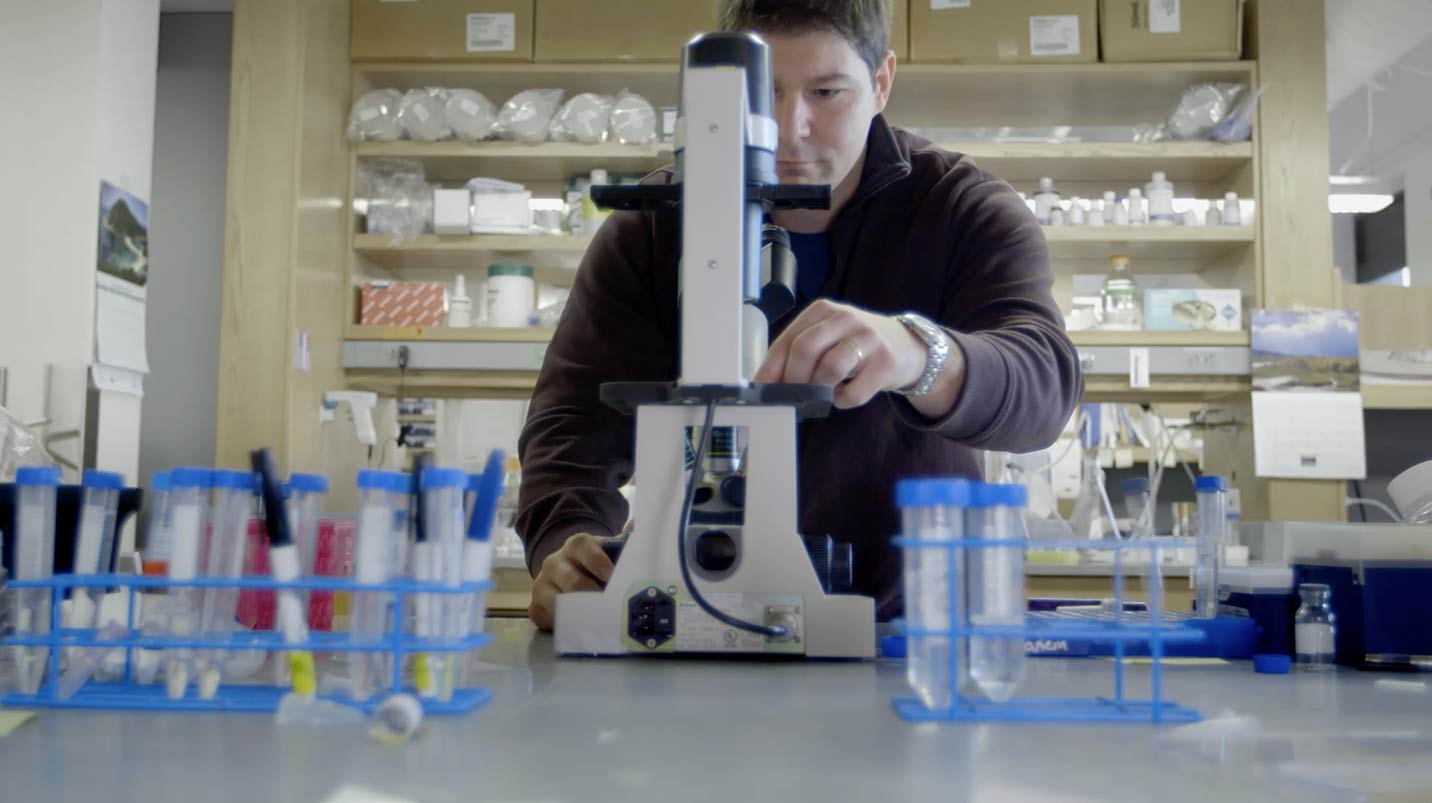 Neil Ganem at microscope in lab