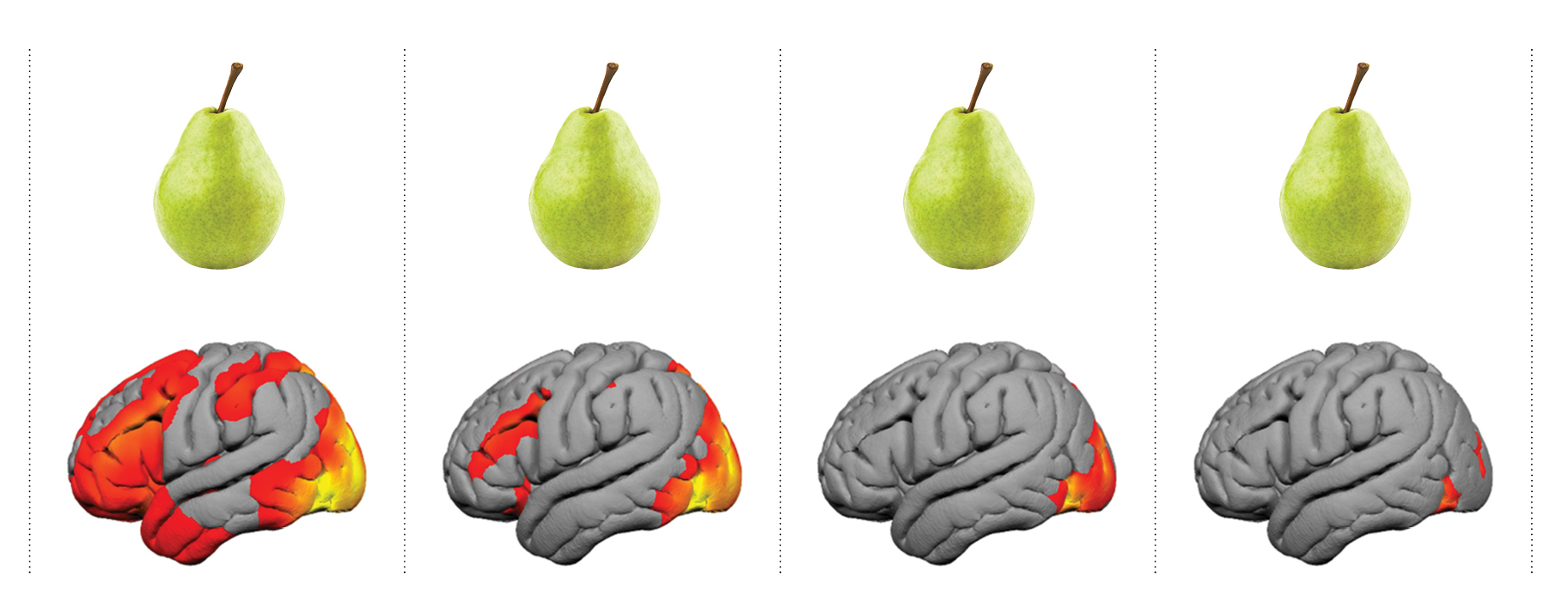 InSAR_dyslexia_graphic