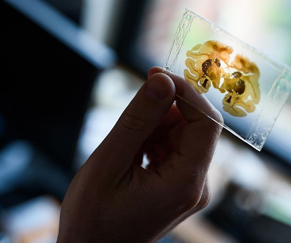 Sargent College Research Center