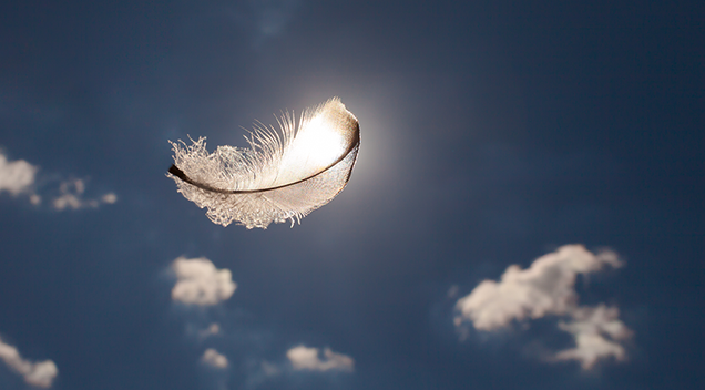 spirituality and public health how religious disciplines month at a glance calendar