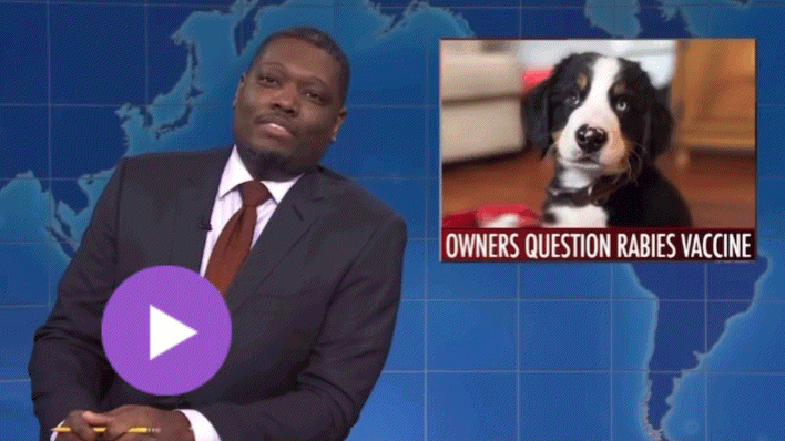 Screenshot of Michael Che on SNL's Weekend Update with a photo of a puppy that reads "Owners question rabies vaccine"
