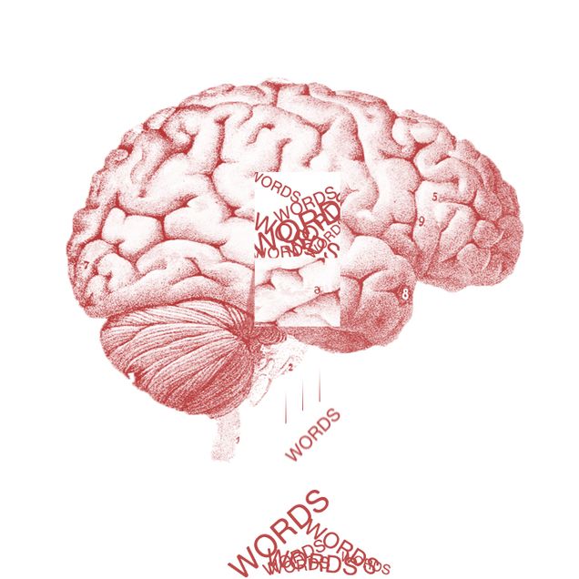 Language-words-in-brain