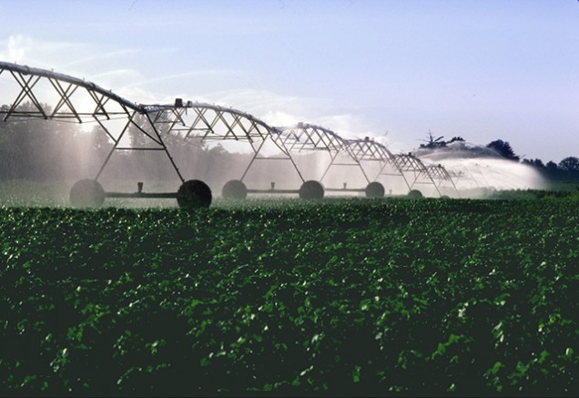 The mass majority of fresh water used is for irrigation needs. Credit | USDA via Wikimedia Commons