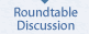 Roundtable discussion