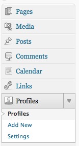 Where the Profiles section appears in the WordPress admin menu.