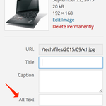 Screen capture displaying where the Alt Text field is located in the WordPress interface