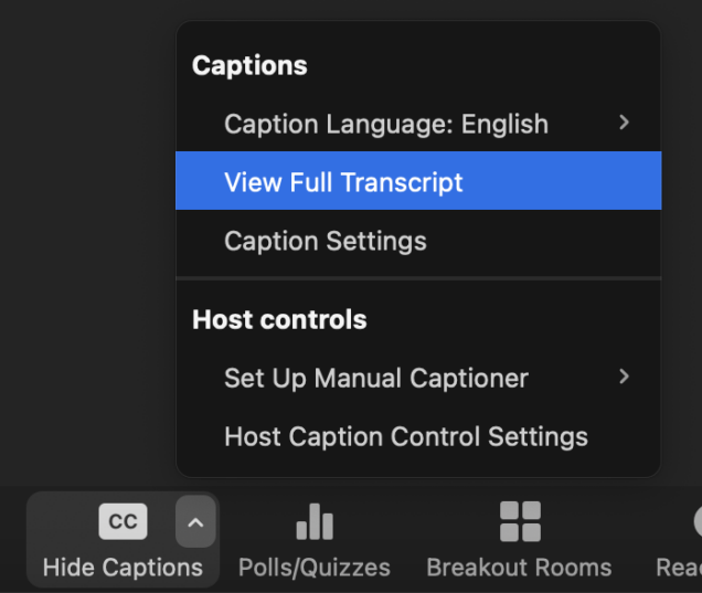 Screenshot of the captions menu with View Full Transcript highlighted.