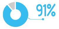 Pie chart showing 91%