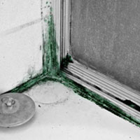 Part 2: Could ADHD Meds Promote Future Cocaine Use?