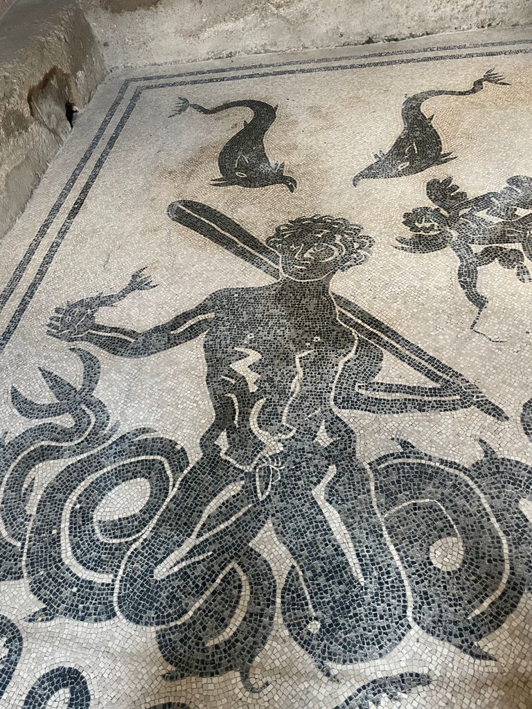 image of mosaic floor of herculaneum
