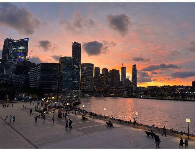 sydney skyline at sunset
