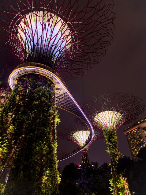 Gardens and architectual trees at night at Marina Bay in Singapore