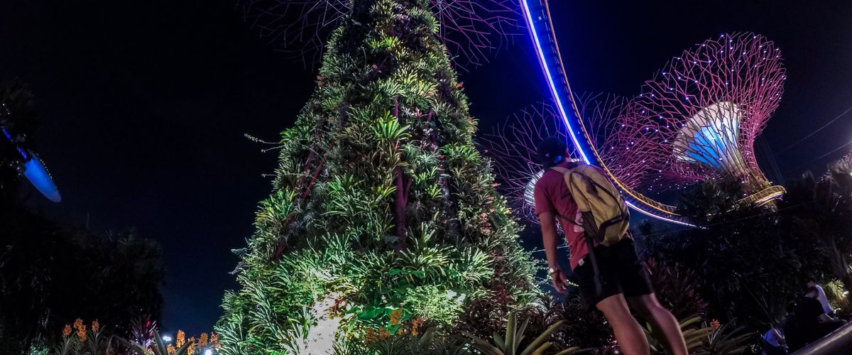 Gardens and architectual trees at night at Marina Bay in Singapore