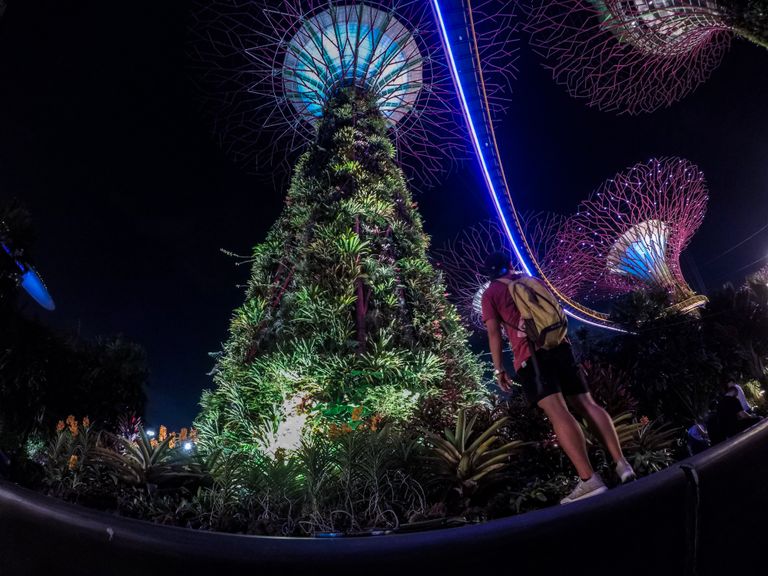 Gardens and architectual trees at night at Marina Bay in Singapore