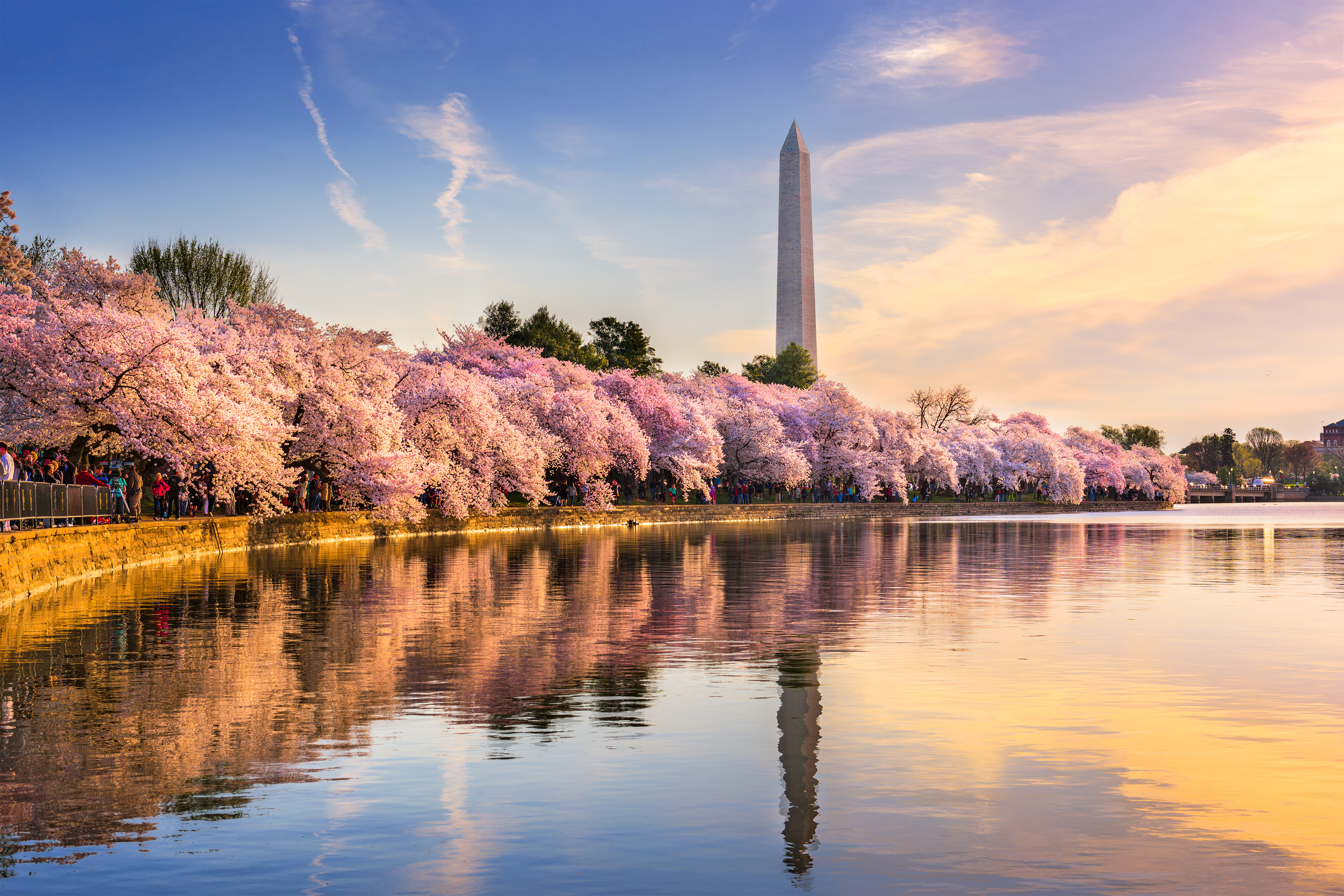 Washington DC, USA at the tidal basin with Washington Monument in spring season